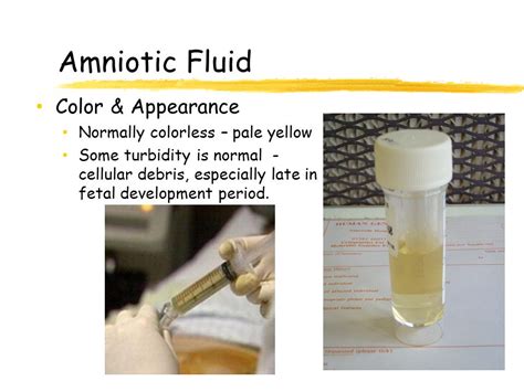 Amniotic Fluid: Color, Smell, Function & Disorders